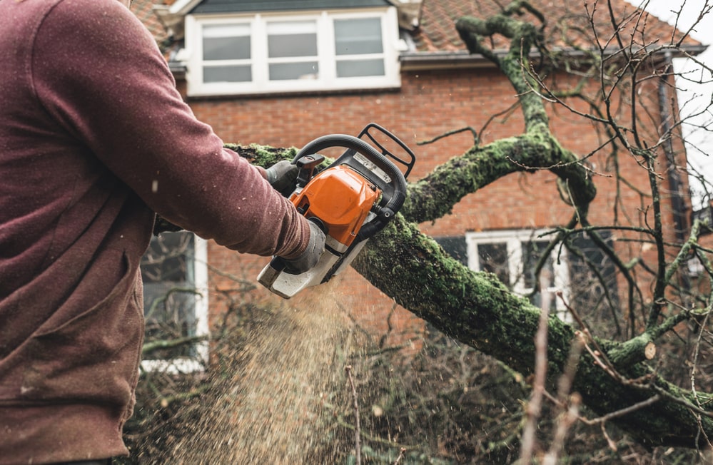 Citrus heights emergency tree service
